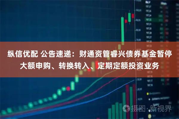 纵信优配 公告速递：财通资管睿兴债券基金暂停大额申购、转换转入、定期定额投资业务