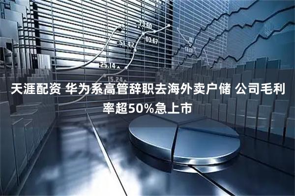 天涯配资 华为系高管辞职去海外卖户储 公司毛利率超50%急上市