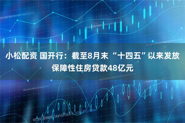 小松配资 国开行：截至8月末 “十四五”以来发放保障性住房贷款48亿元