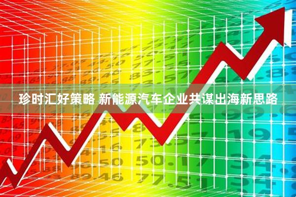 珍时汇好策略 新能源汽车企业共谋出海新思路
