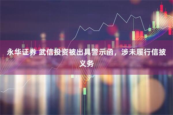 永华证券 武信投资被出具警示函，涉未履行信披义务